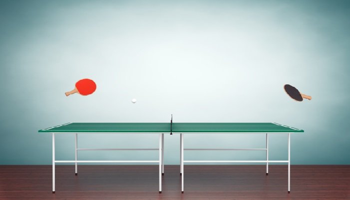 md sports ping pong table