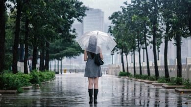 loi hua gio bay nguyen si kha • rainy day memories • 2023